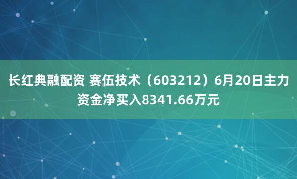 长红典融配资 赛伍技术（603212）6月20日主力资金净买入8341.66万元